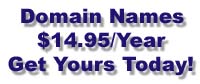 $14.95 Domain Names